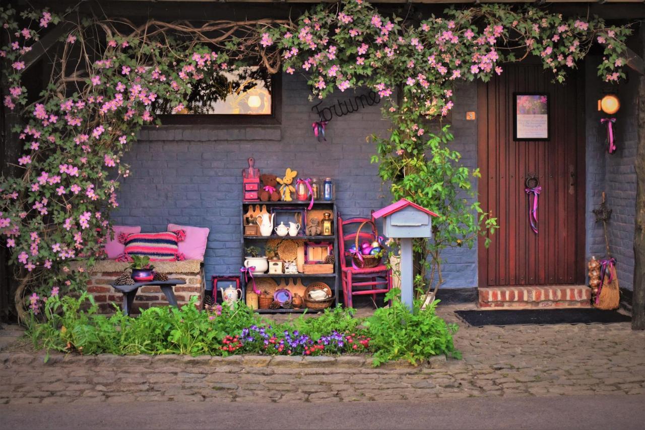 Maison Jeanny, Full House With Big Garden Frasnes-lez-Anvaing Esterno foto