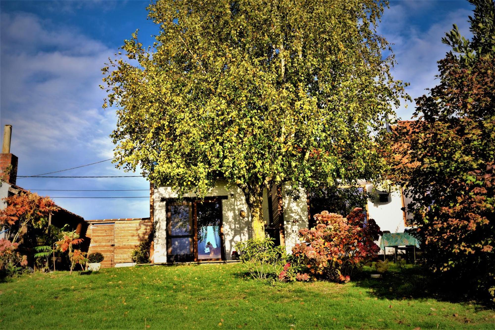 Maison Jeanny, Full House With Big Garden Frasnes-lez-Anvaing Esterno foto